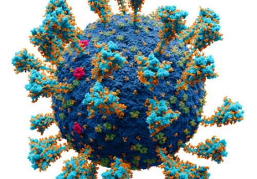 Coronavirus-_SARS-CoV-2-embedded
